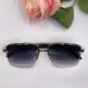Biana Sunglasses Black