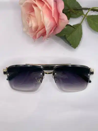 Biana Sunglasses Black