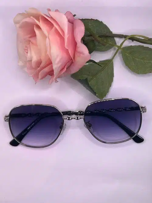 Nino Sunglasses Silver