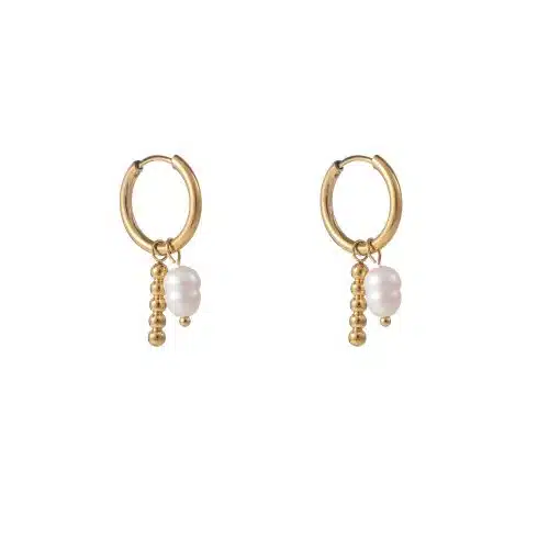 Day & Eve Earrings E56111-2