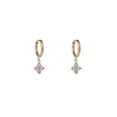 Day & Eve Earrings E56119-1