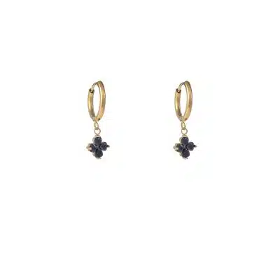 Day & Eve Earrings E56119-2