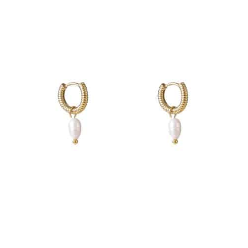 Day & Eve Earrings E56121-2