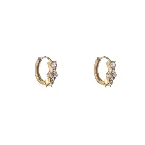 Day & Eve Earrings E56134-2