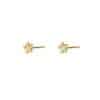 Day & Eve Earrings E56153-2