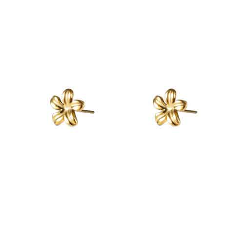 Day & Eve Earrings E56161-2