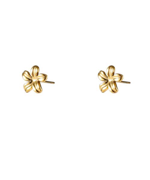Day & Eve Earrings E56161-2