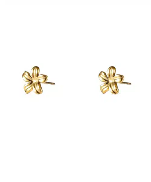 Day & Eve Earrings E56161-2