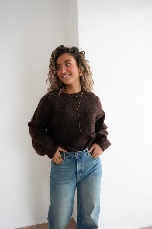 Alternative view of Whitney Sweater Brown *