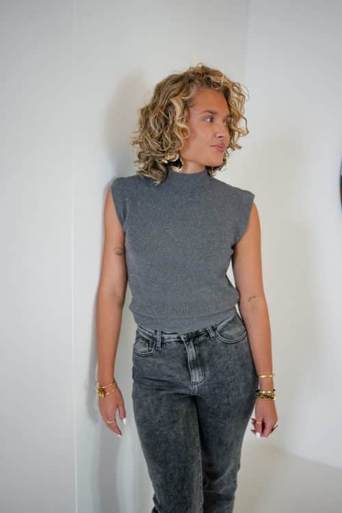 Ivy Lurex Top Grey