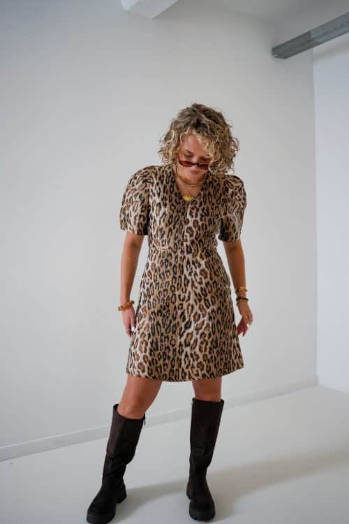Dani Leopard Dress