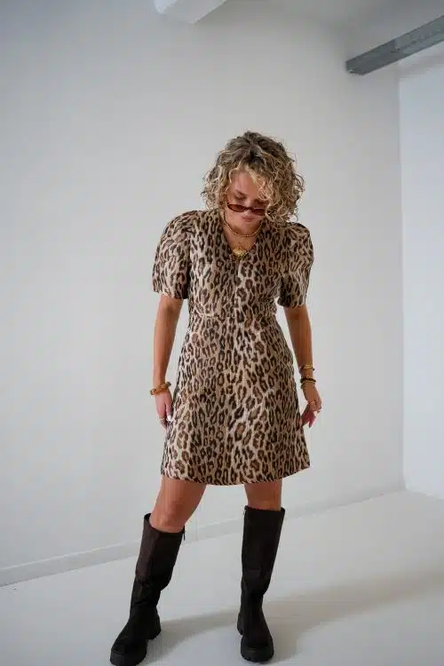 Dani Leopard Dress