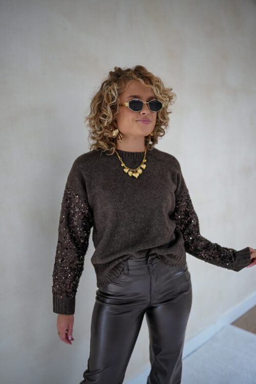 Choco Sweater Pailletten Sleeve -
