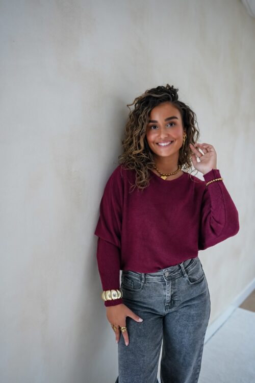 Renske Sweater Bordeaux