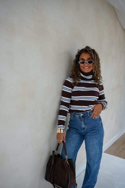 Amy Striped Sweater Blue Brown .