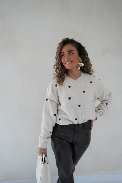 Brown Hearts Sweater Beige -