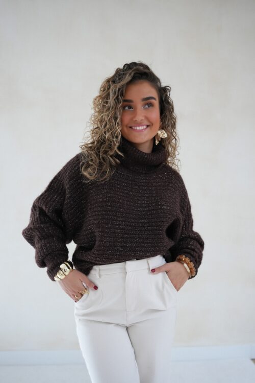 Lucie Lurex Sweater Choco -