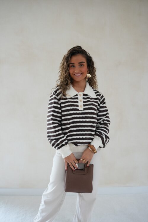 Alternative view of Tatum Sweater Brown Stripes *