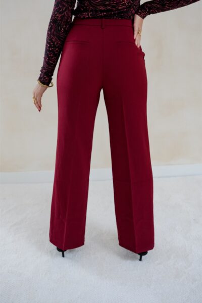 Noah Pantalon Bordeaux - Afbeelding 2