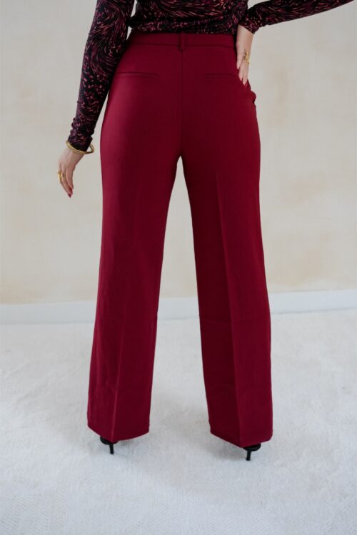 Alternative view of Noah Pantalon Bordeaux