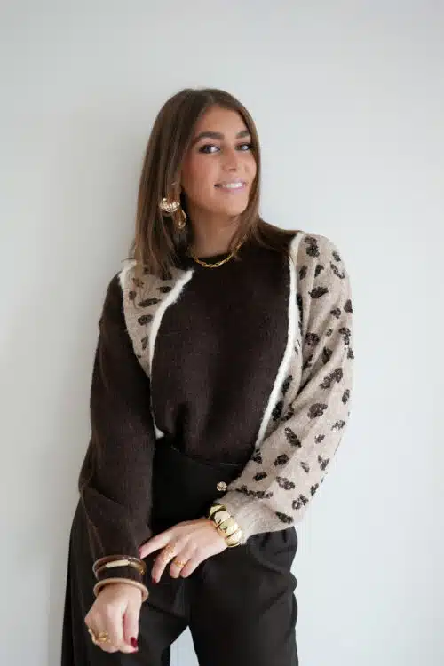 Lola Leopard Sweater Brown