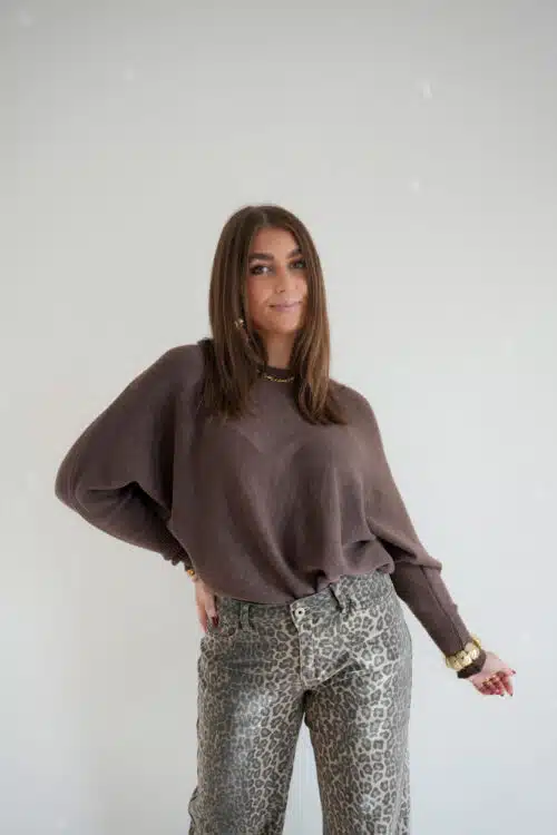 Renske Sweater Light Brown