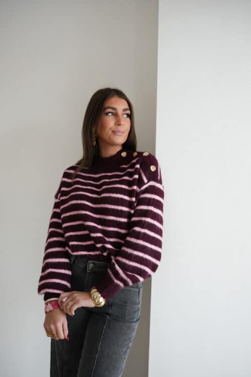 Alternative view of Sissi Stripes Sweater Bordeaux Pink *