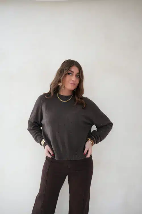Alternative view of Amanda Sparkle Sweater Brown