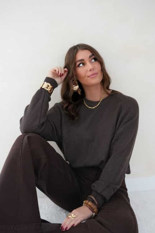 Amanda Sparkle Sweater Brown