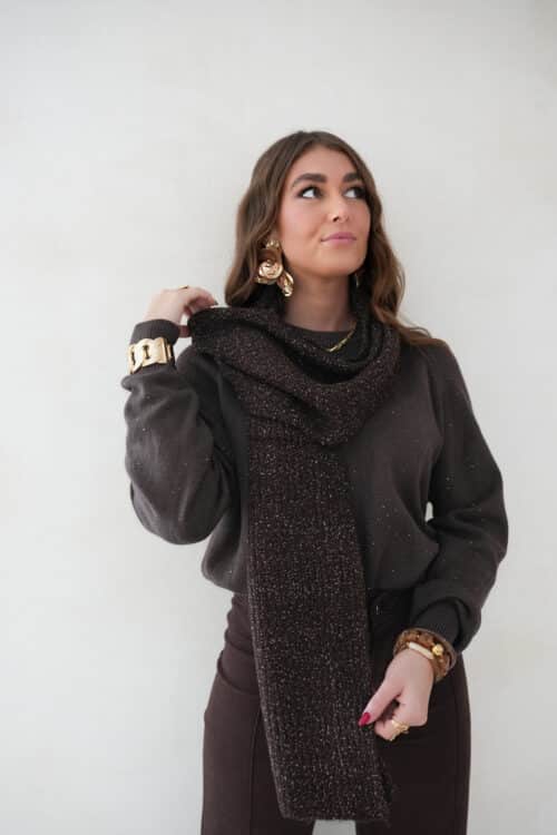 Lurex Scarf  Brown