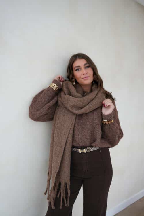 Rachel Scarf Brown