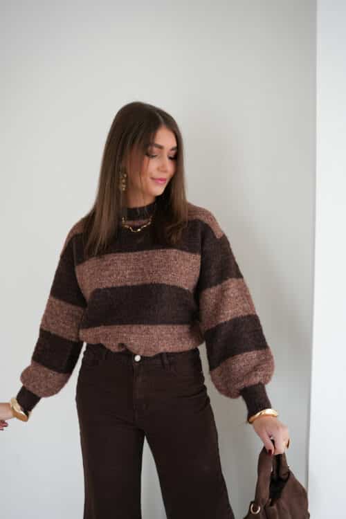 Saly Stripe Sweater Brown|