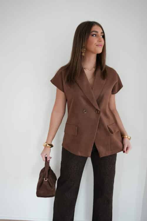 Gia Suedine Gilet Brown