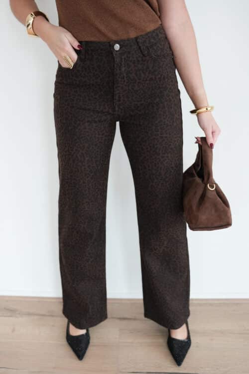 Ginny Leo Jeans Brown 9161