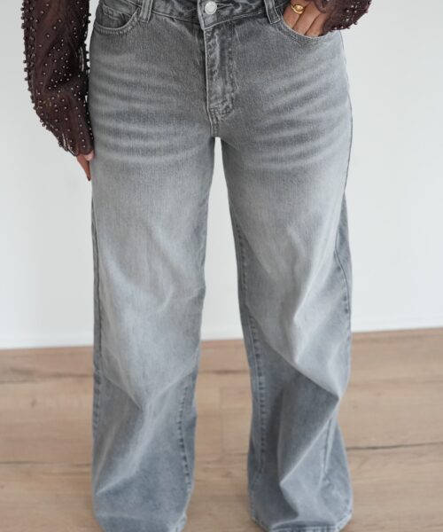 Lana Dad Fit Grey 265