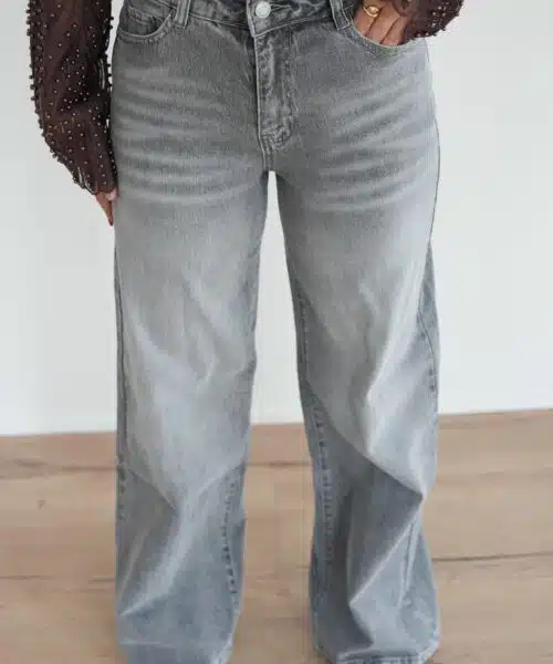 Lana Dad Fit Grey 265