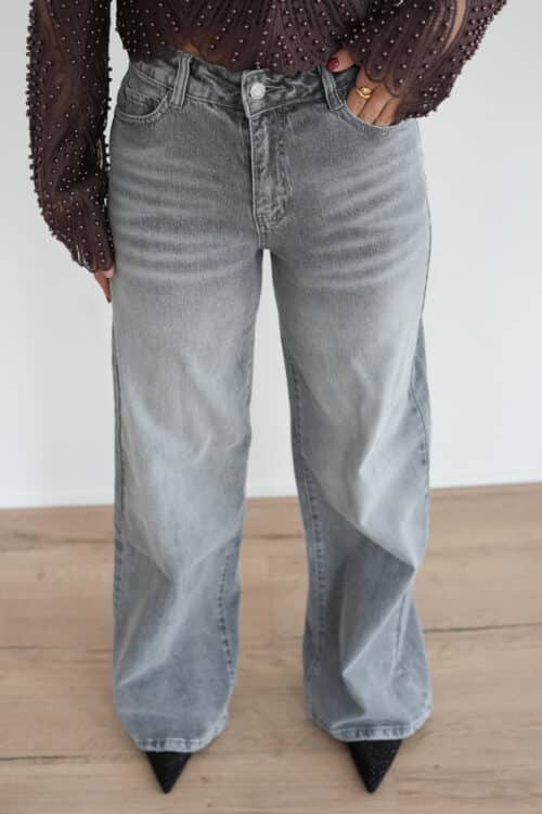 Lana Dad Fit Grey 265