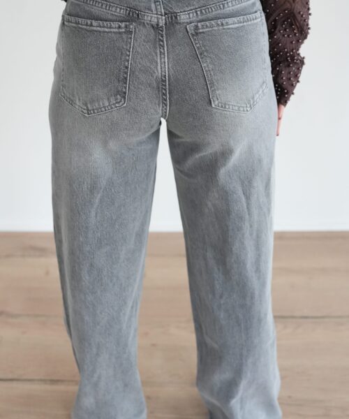 Alternative view of Lana Dad Fit Grey 265