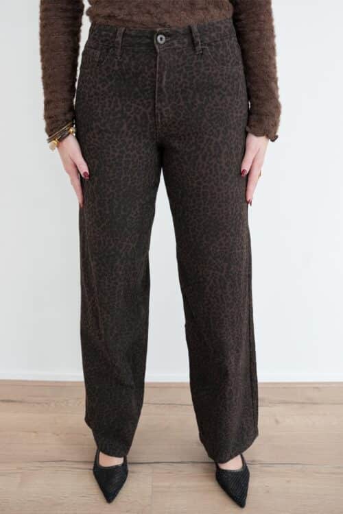 Xoe Dad Fit Leo 6265