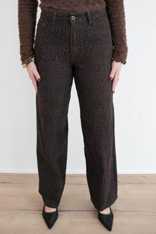 Xoe Dad Fit Leo 6265