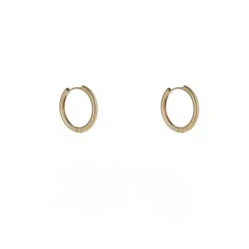 Day & Eve Earrings E56091-2