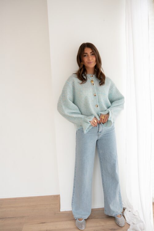 Alternative view of Dani Striped Cardigan Blue #