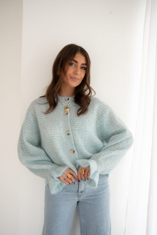 Dani Striped Cardigan Blue #
