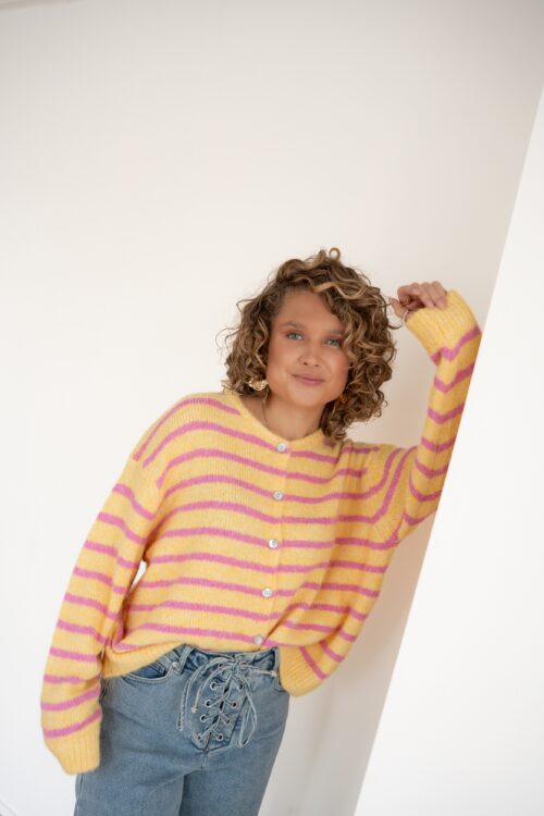 Jenthe Striped Cardigan Yellow Pink #