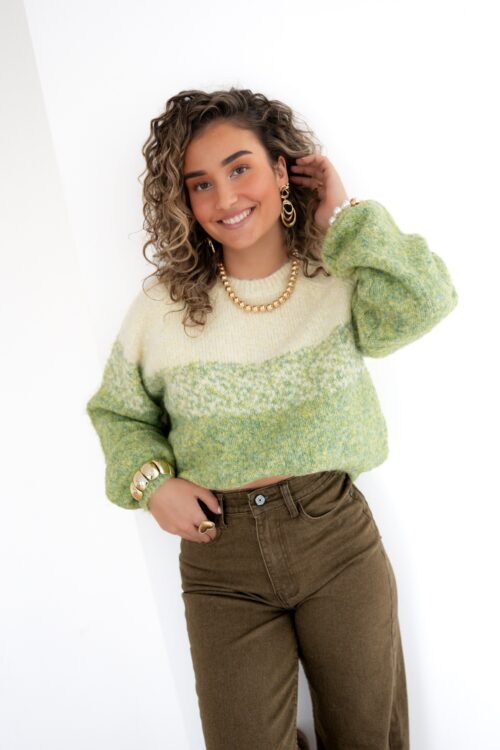 Nina Sweater Green ~