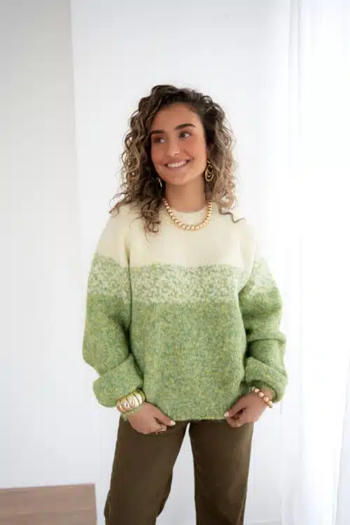 Alternative view of Nina Sweater Green ~