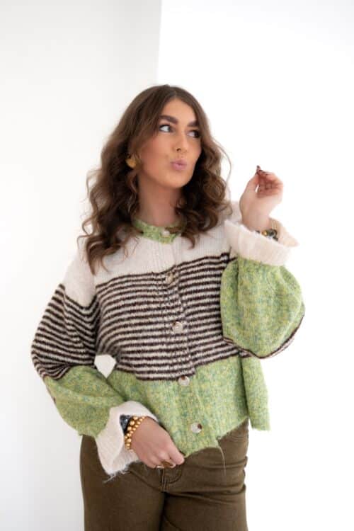 Nika Cardigan Multi Green #