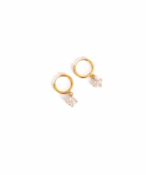 Day & Eve Earrings E56119-1