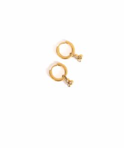 Day & Eve Earrings E56101-1