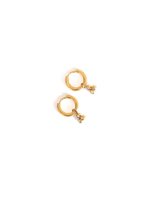 Day & Eve Earrings E56101-1
